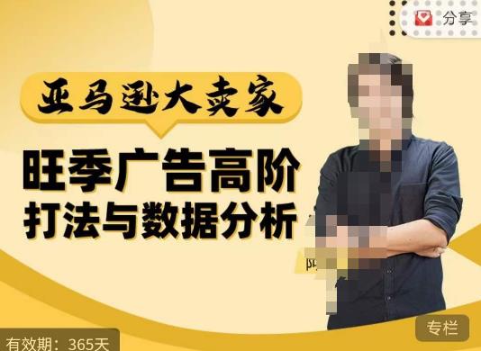 阿甘·亚马逊大卖家广告高阶打法与数据分析，走出传统广告误区；揭秘大卖惯用打法；数据驱动广告决策-收集菌资源站