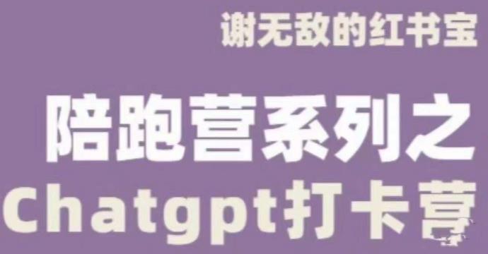 谢无敌ChatGPT打卡营，教你更好地使用ChatGPT来提高工作效率-收集菌资源站
