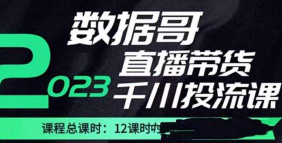 数据哥2023直播电商巨量千川付费投流实操课，快速掌握直播带货运营投放策略-收集菌资源站