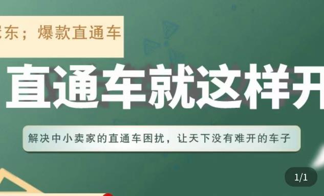 冠东·淘系直通车保姆级教程，全面讲解直通车就那么简单-收集菌资源站