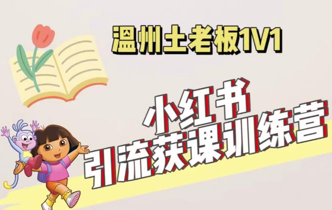 小红书1对1引流获客训练营：账号、内容、引流、成交（价值3999元）-收集菌资源站