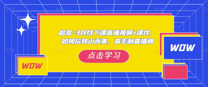 哈哥·3月线下实操课高清视频+课件，如何玩转小而美，高毛利直播间-收集菌资源站