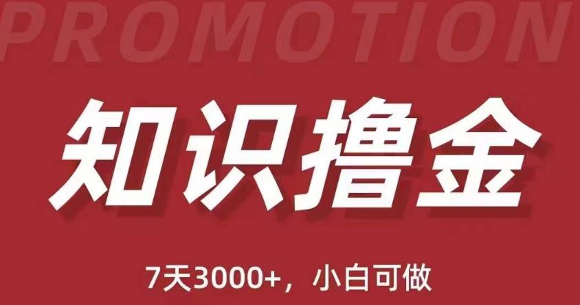 抖音知识撸金项目：简单粗暴日入1000+执行力强当天见收益(教程+资料)-收集菌资源站