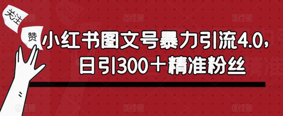 小红书图文号暴力引流4.0，日引300＋精准粉丝【揭秘】-收集菌资源站