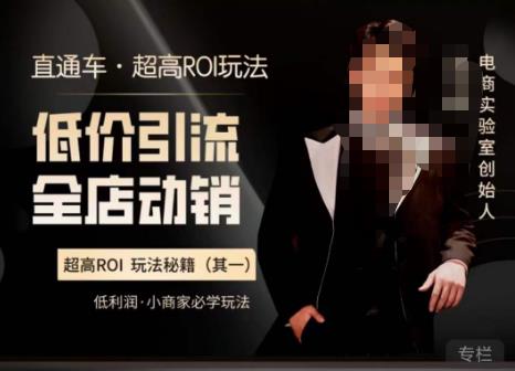 电商冰可乐·直通车·《低价引流·全店动销》，直通车·超高ROI玩法（其一）全店动销必学玩法-收集菌资源站