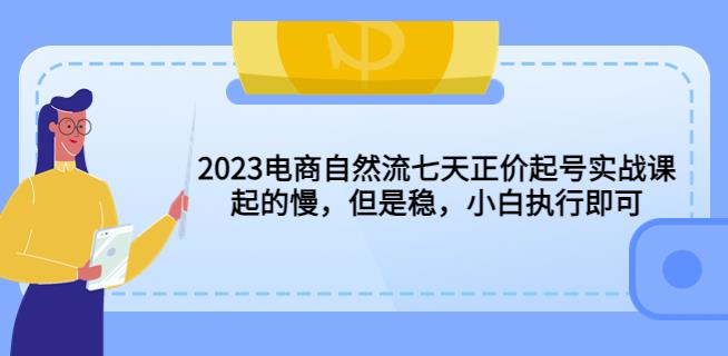 2023电商自然流七天正价起号实战课：起的慢，但是稳，小白执行即可！-收集菌资源站