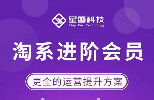 星雪·淘系进阶课程，快速提升突破技能流量瓶颈必备（更新2023年5月）-收集菌资源站
