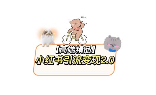 小红书最新引流变现教程，全网最新最详细的视频教程以及素材-收集菌资源站