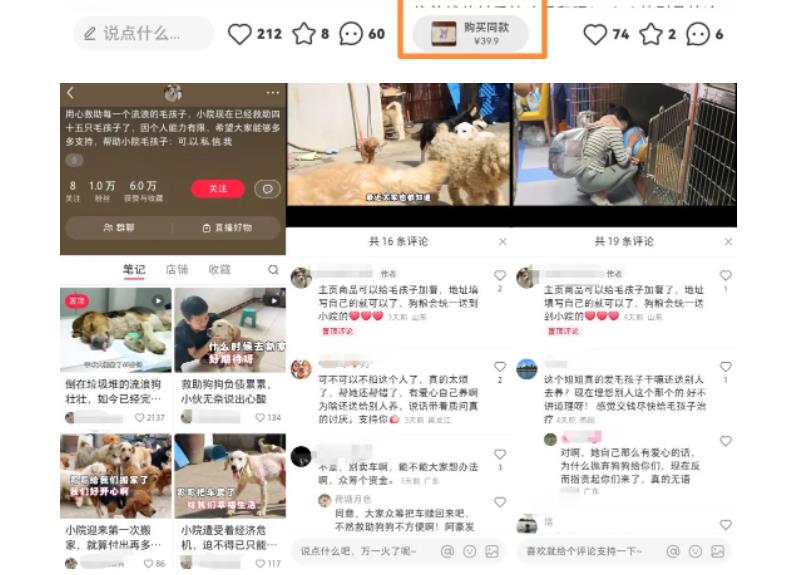 小红书蓝海类赛道：小动物打赏与购买变现副业项目，一条龙玩法分享给你！-收集菌资源站