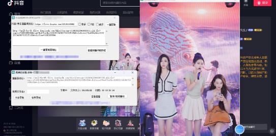 最新电脑版抖音/快手/B站直播源获取+直播间实时录制+直播转播软件【全套软件+详细教程】-收集菌资源站