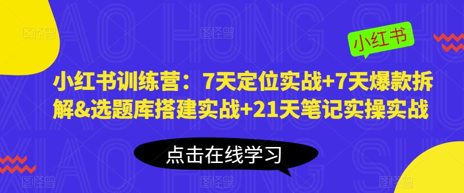 小红书训练营：7天定位实战+7天爆款拆解&选题库搭建实战+21天笔记实操实战-收集菌资源站