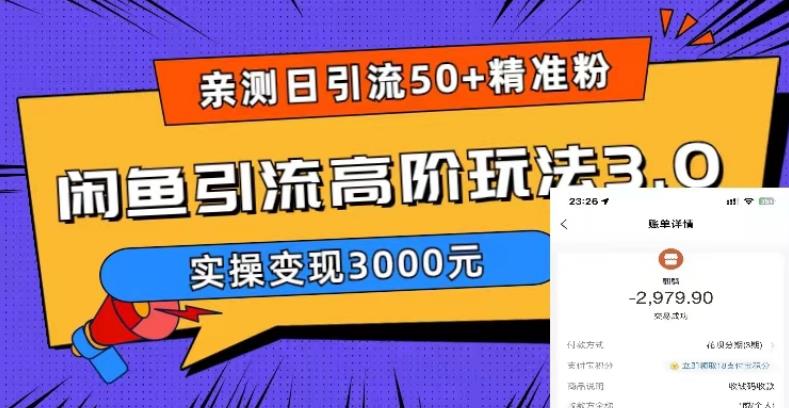 亲测日引50+精准粉，闲鱼引流高阶玩法3.0，实操变现3000元【揭秘】-收集菌资源站