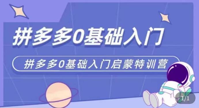 拼多多运营0-1实操特训营，拼多多0基础入门，从基础到进阶的可实操玩法-收集菌资源站