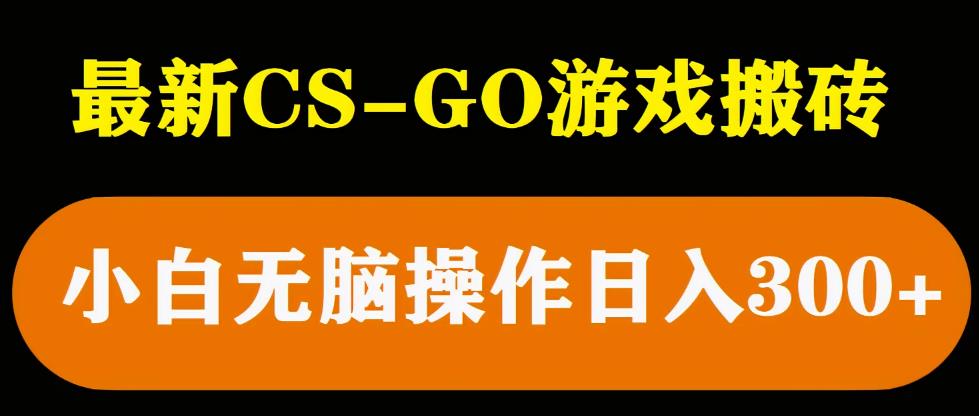 最新csgo游戏搬砖游戏，无需挂机小白无脑也能日入300+-收集菌资源站